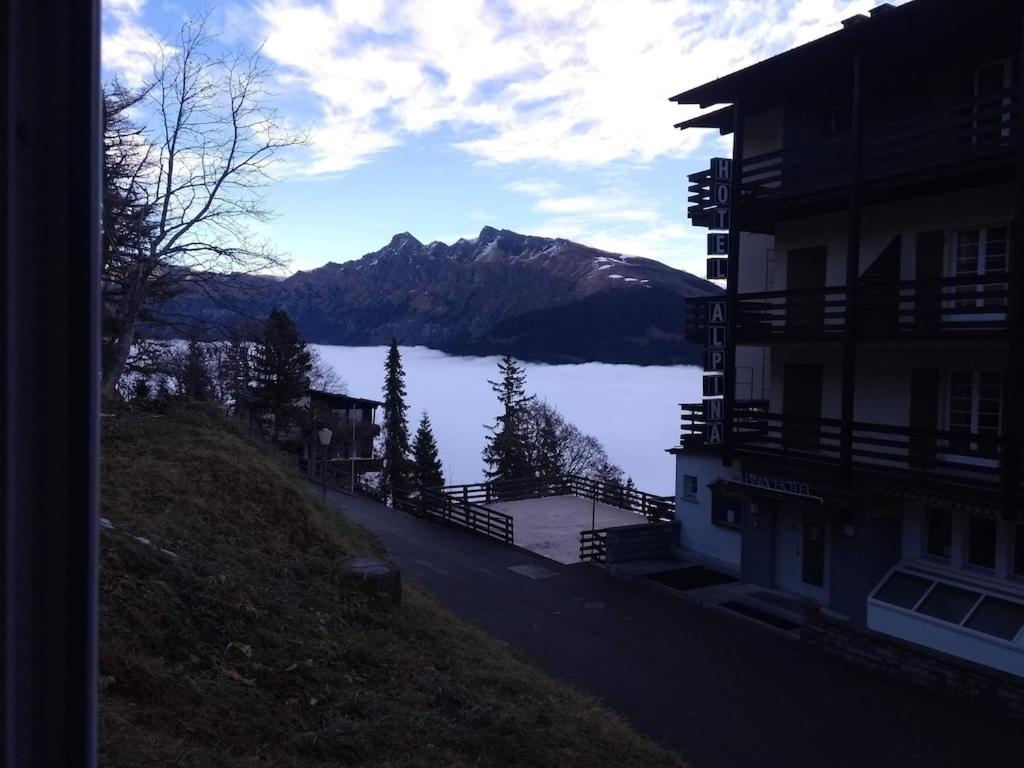 Charming And Cosy Apartment Mürren Exteriör bild